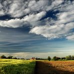 Ricordando primavera (2)