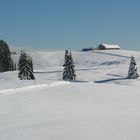 Ricordando un pò di fresco......