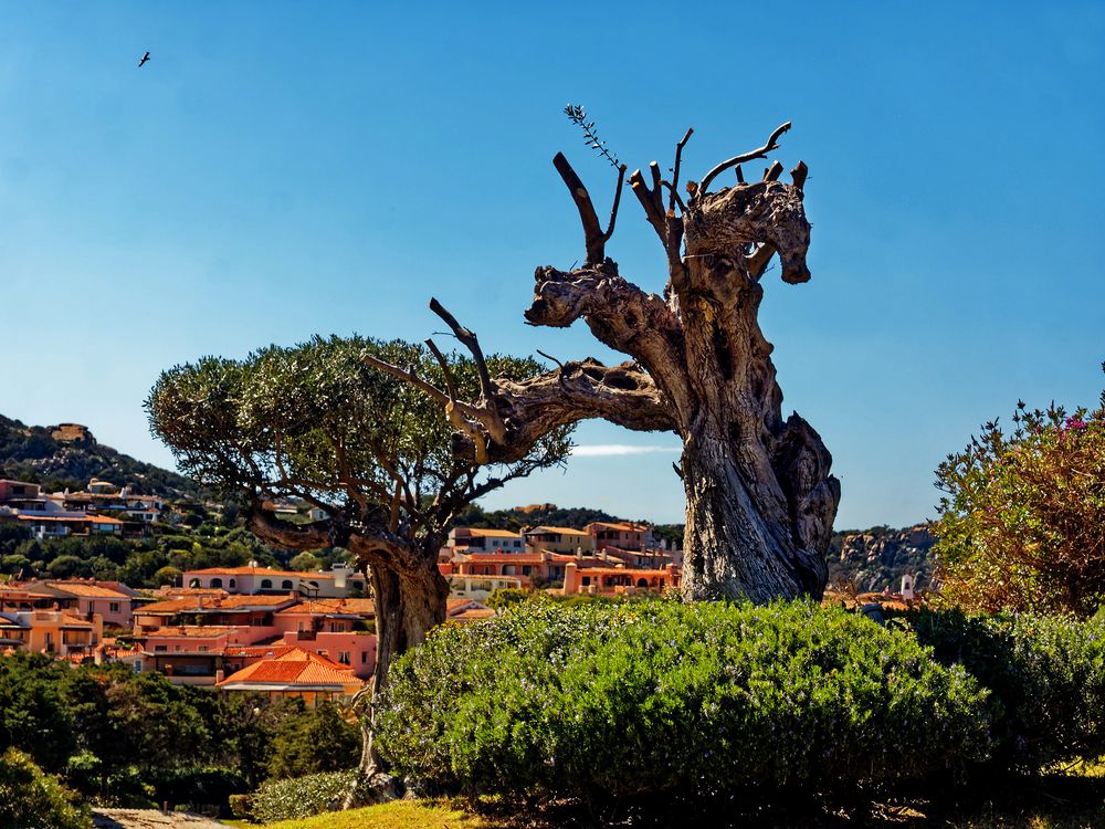 Ricordare la Sardegna