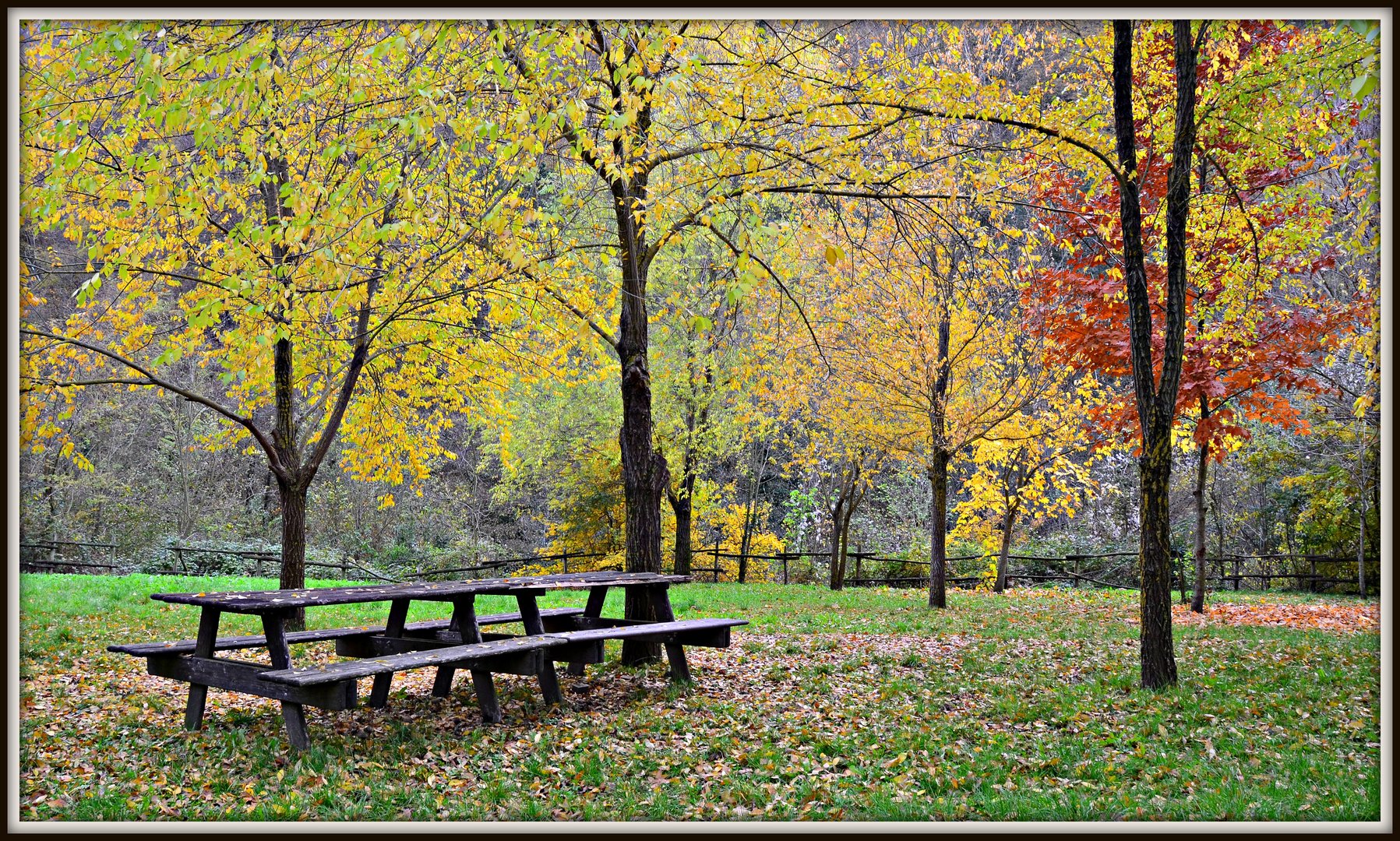 ricordi d'autunno...