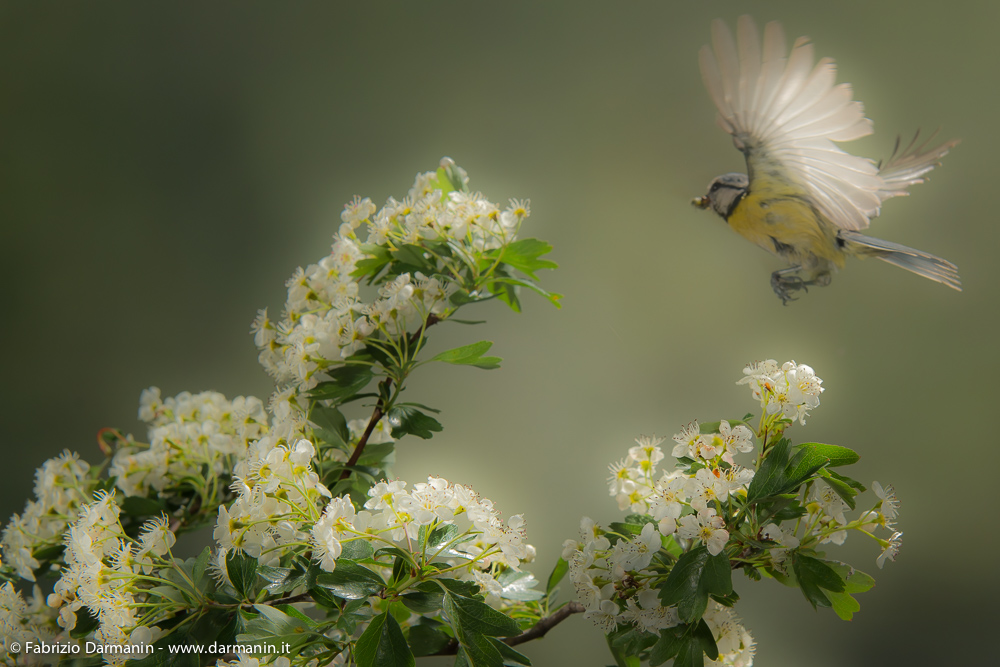 Ricordi di primavera