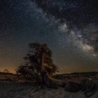 Ricordi di una notte dell'estate passata