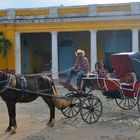 Ride with the horse-drawn carriage