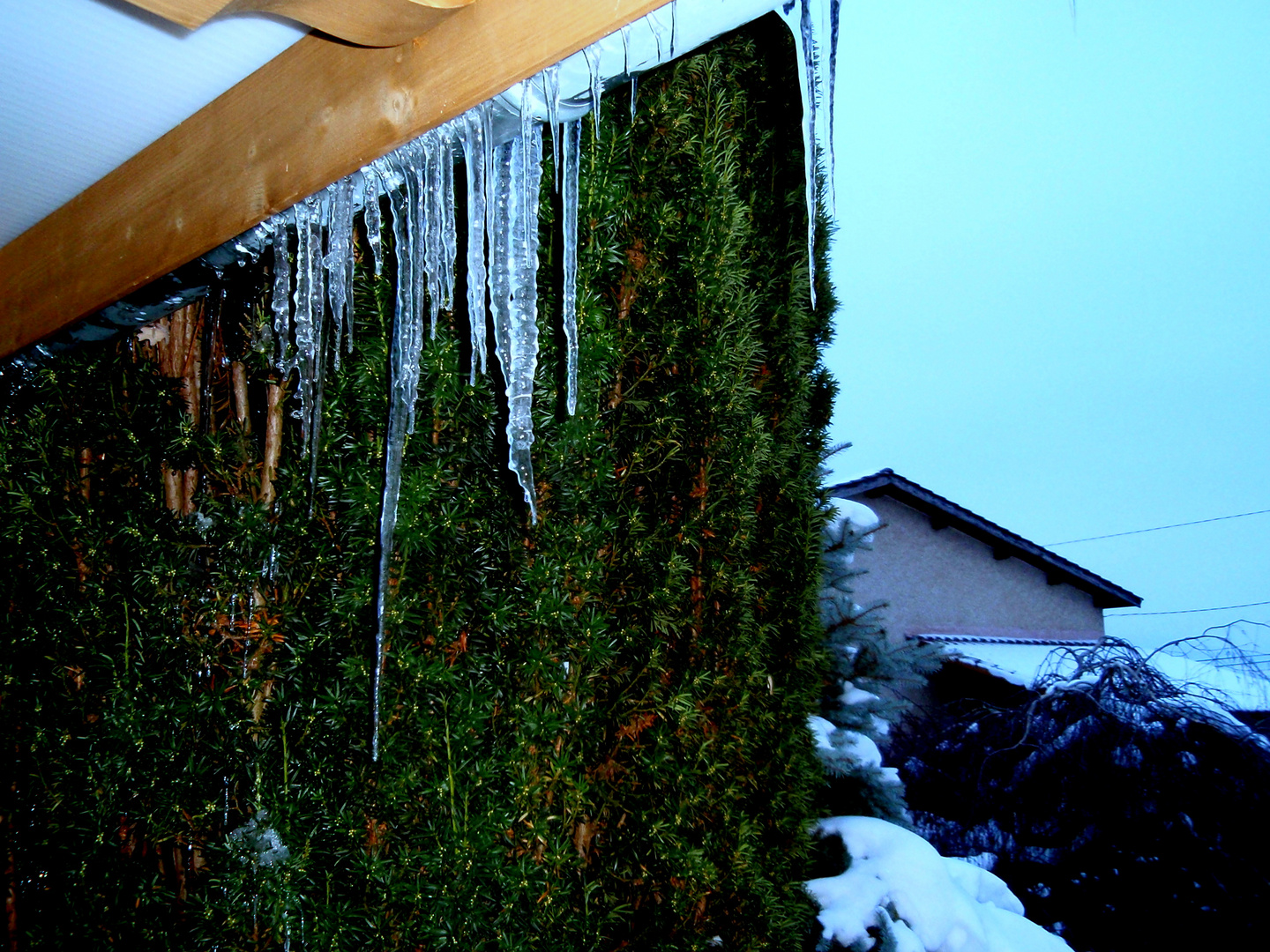 rideau de glace (2)