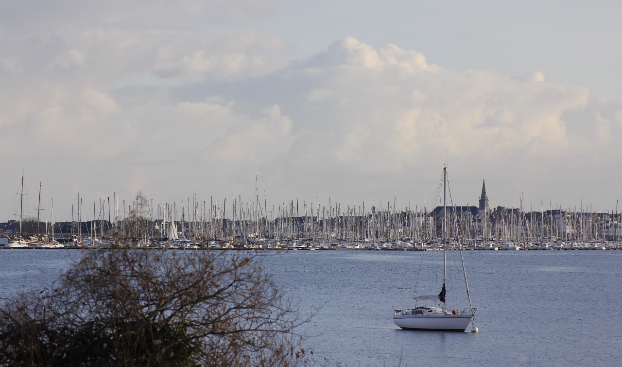 Rideau de mâts sur Larmor-plage (Morbihan)