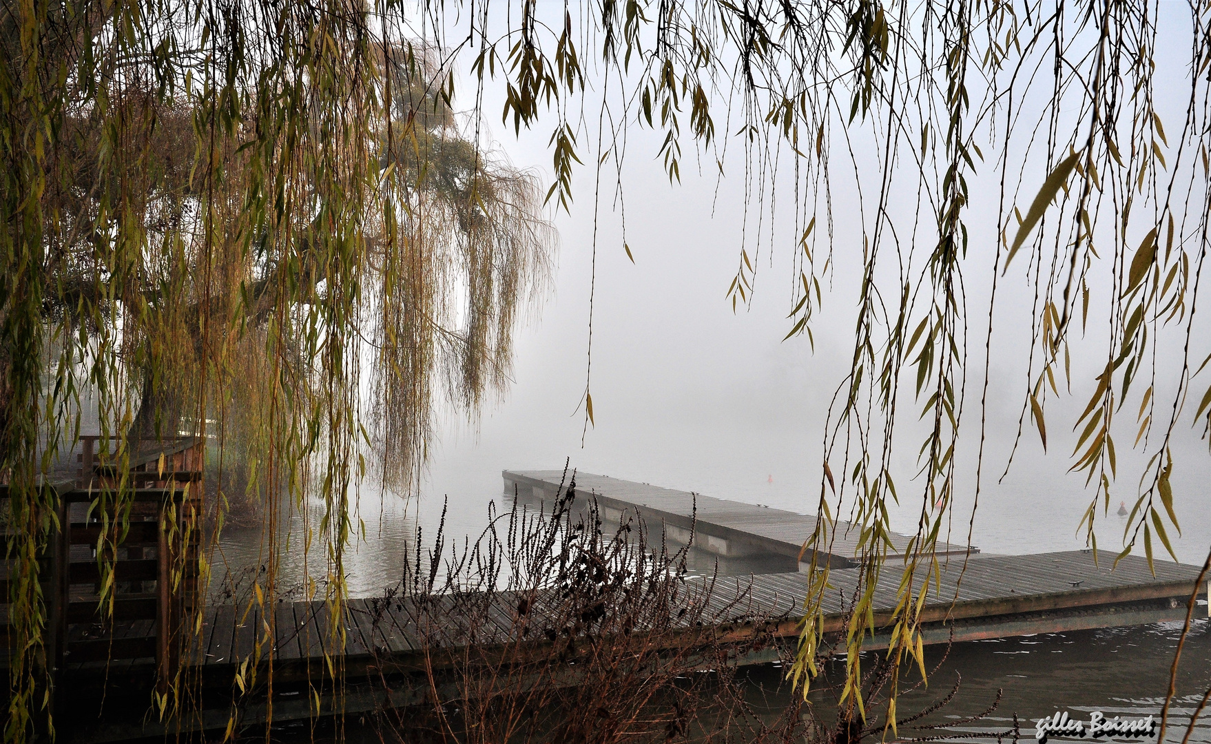 rideau de Seine