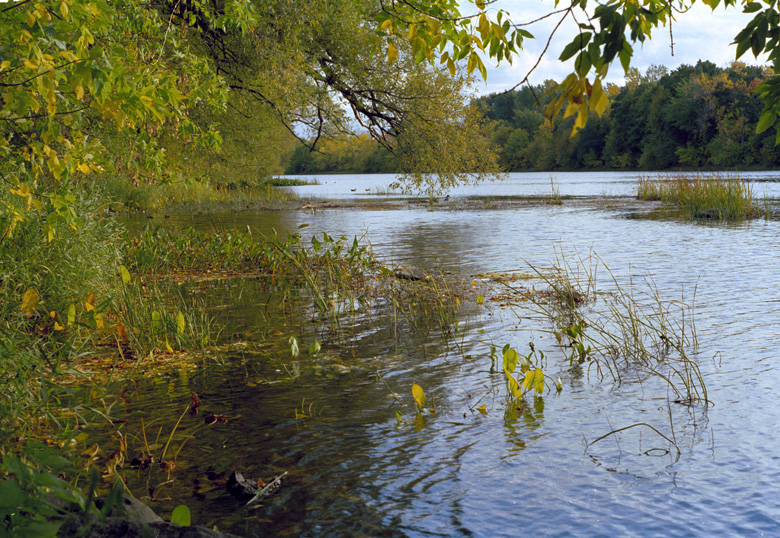 Rideau River, Ottawa, Canada