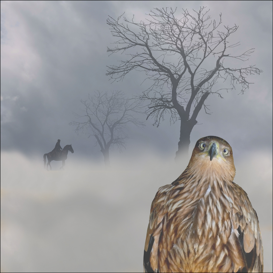 Rider, fog, trees and sparrow