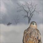 Rider, fog, trees and sparrow