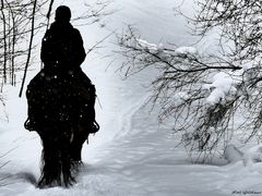 Rider in the snow