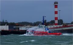 Rider of the storm II / Nieuwe Waterweg / Rotterdam