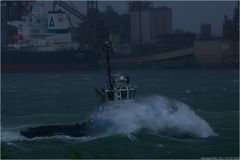 Rider of the storm III / Calandkanal / Rotterdam / Rotterdam