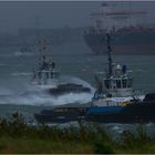 Rider of the storm IV / Calandkanal / Rotterdam / Rotterdam