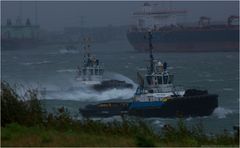 Rider of the storm IV / Calandkanal / Rotterdam / Rotterdam