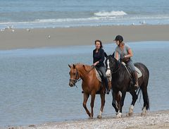 rider on the beach