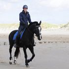 rider on the beach