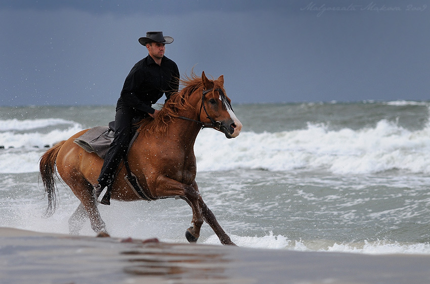 Rider on the storm...