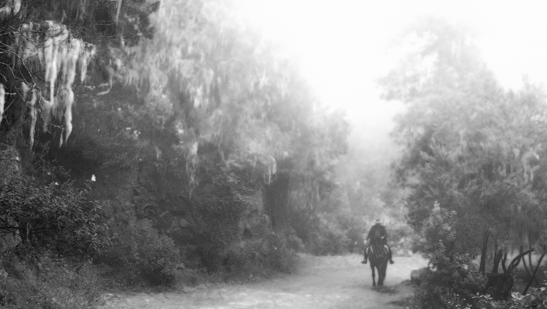 Rider on the storm