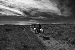 rider on the strom I