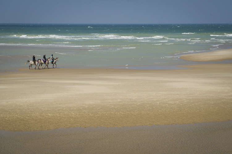 Riders on a Beach