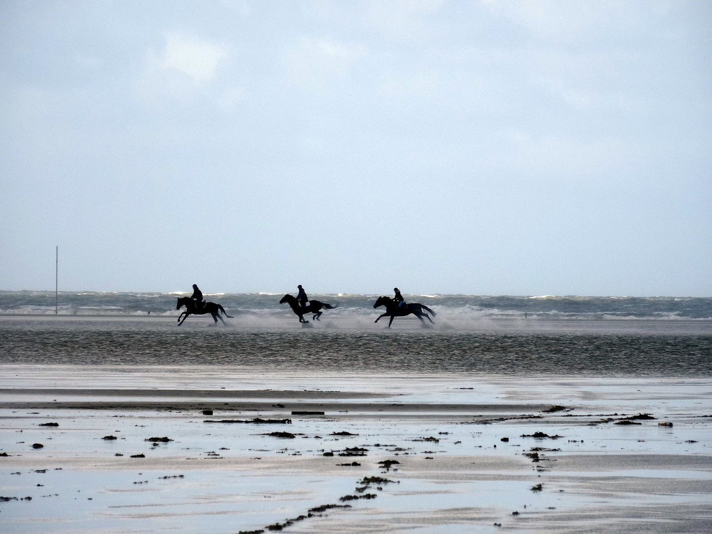 riders on the shore