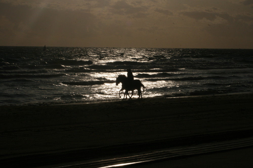 Riding at the Beach