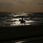 Riding at the Beach