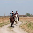 RIDING IN THE DESERT (PUSZTA)