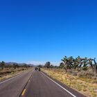 Riding Joshua Tree