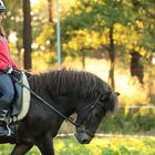 Riding lesson