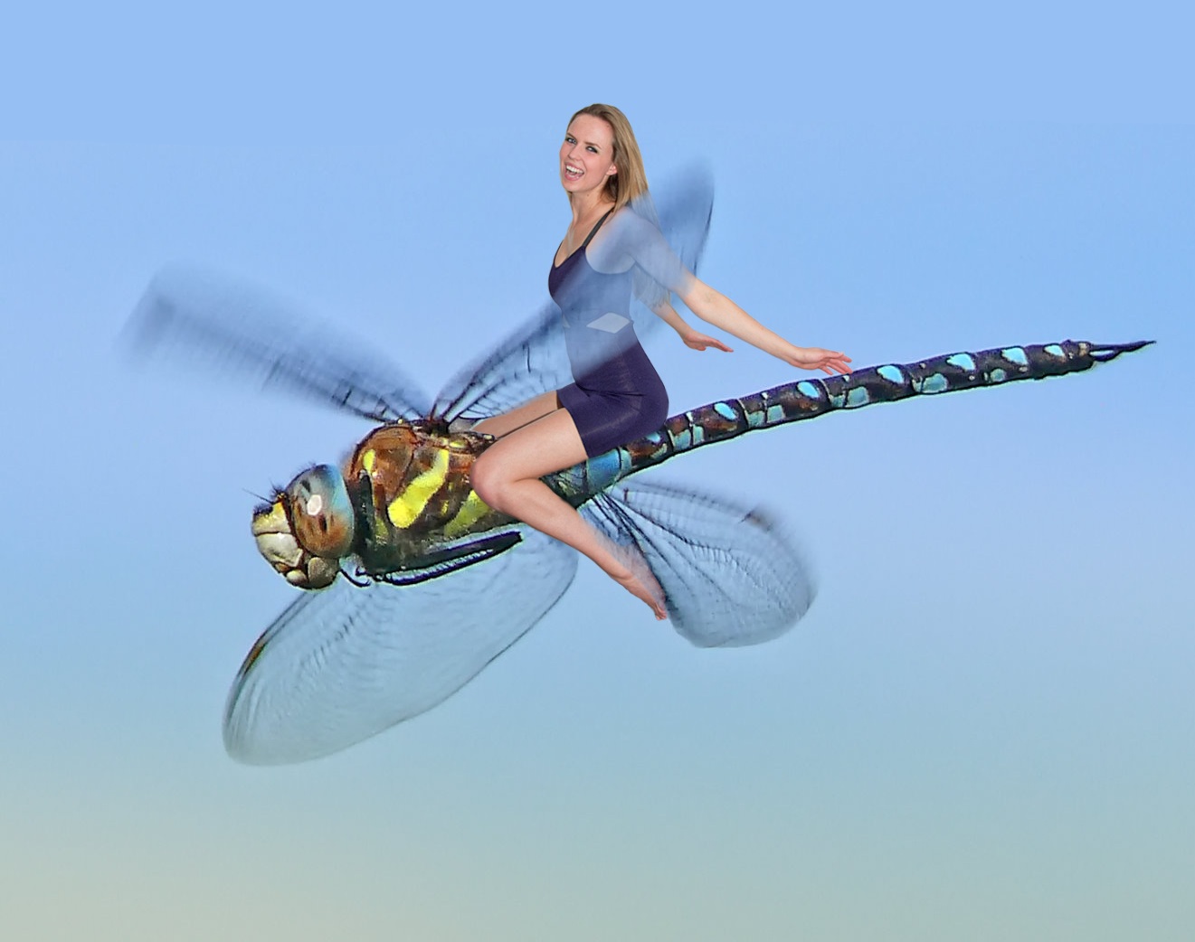 Riding the Dragonfly