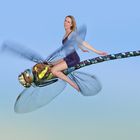 Riding the Dragonfly