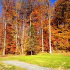 Ridley Creek State Park I