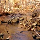 Ridley Creek State Park II