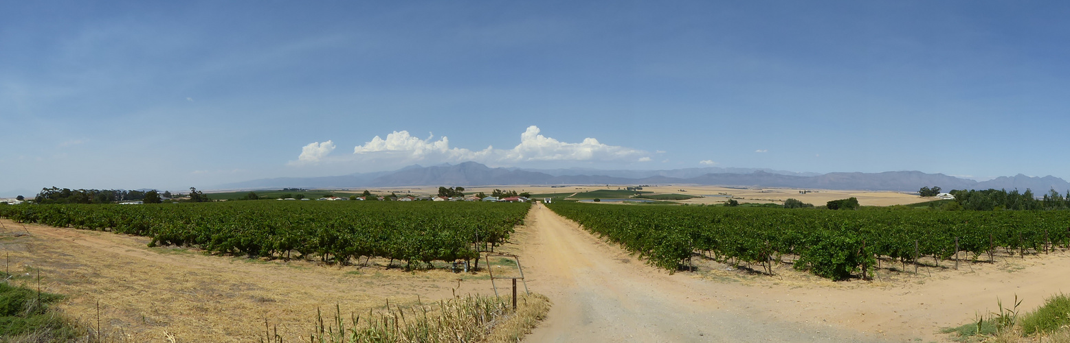 RIEBEEK WEST MALMESBURY GEGENÜBER WEINGUT ALLESVERLOREN