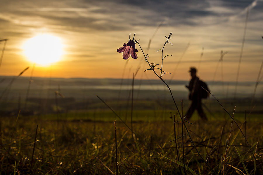 Riechheimer Berg heute Abend