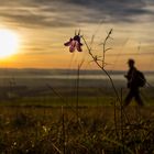 Riechheimer Berg heute Abend