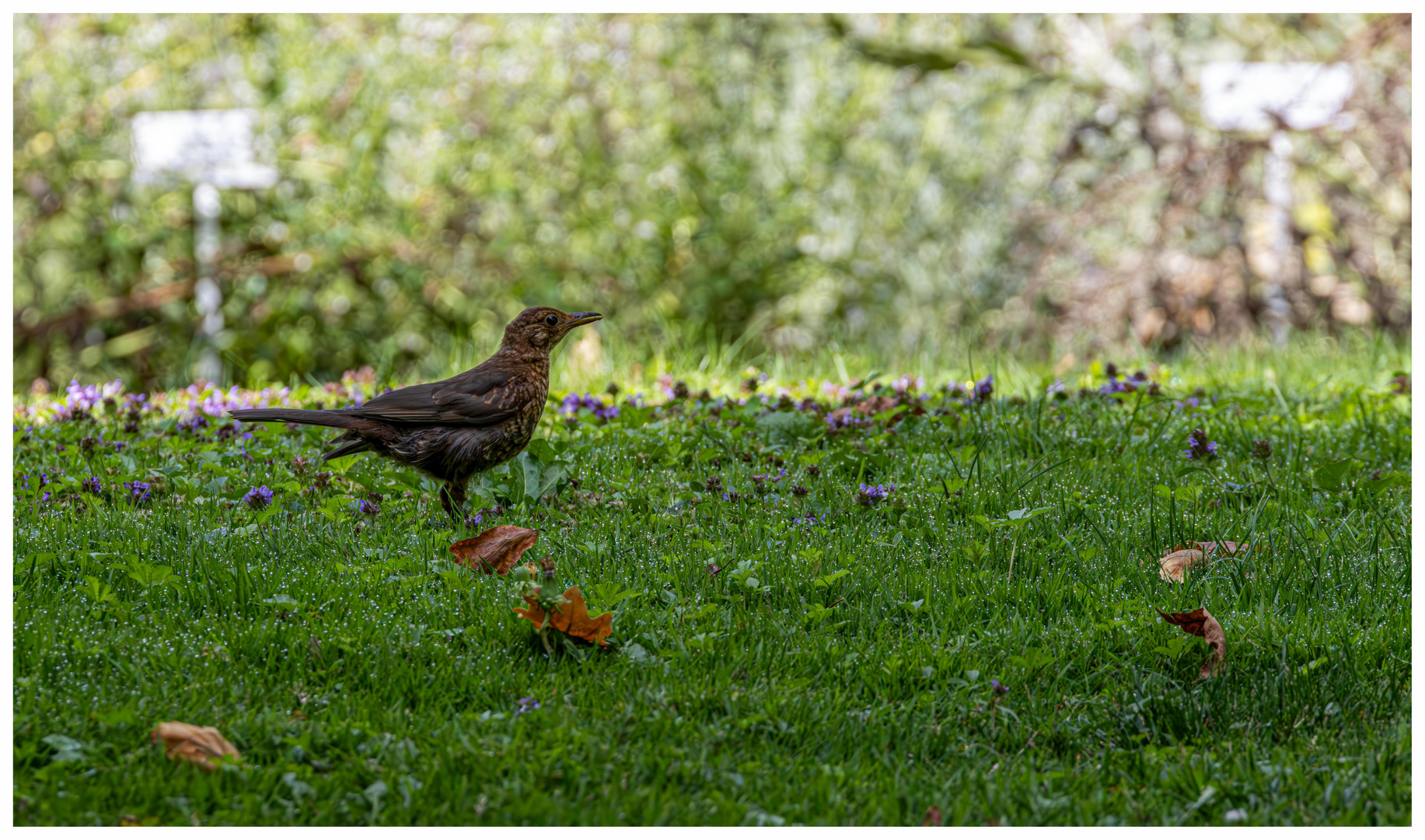 Riecht es schon nach Herbst?