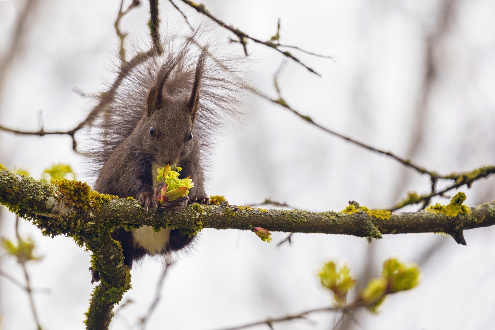 Riecht nach Frühling