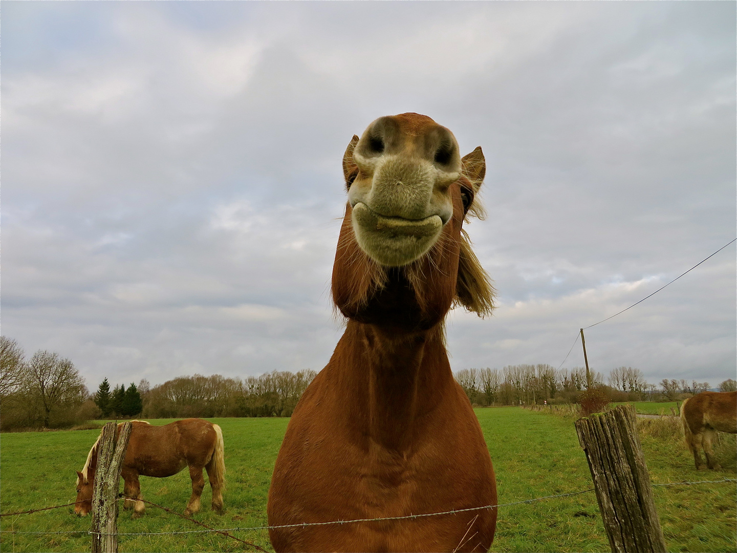 ...riecht nach Wochenende !!!..