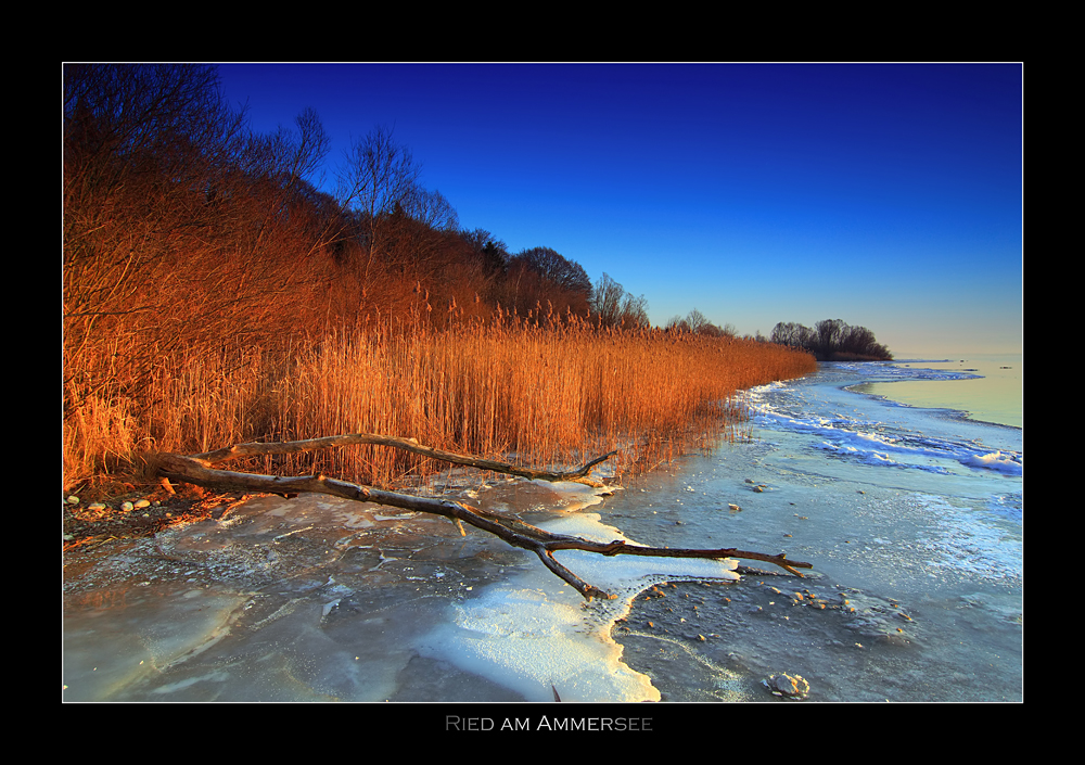 Ried am Ammersee