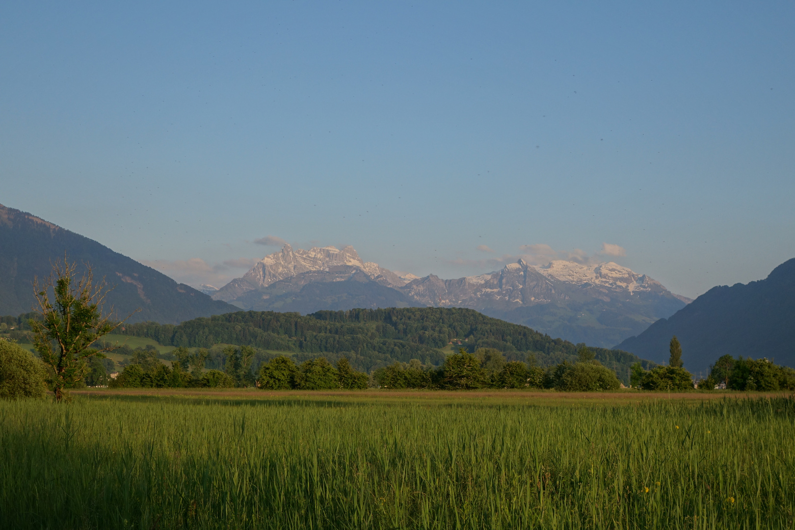 Ried bei Uznach und Benken