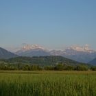 Ried bei Uznach und Benken