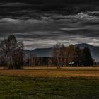 Ried Rohrspitz Richtung Berge