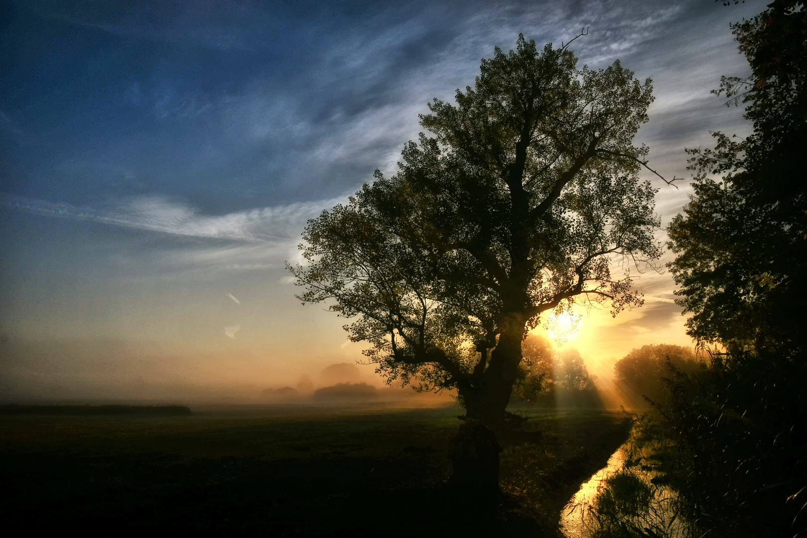 Ried Sonnenaufgang