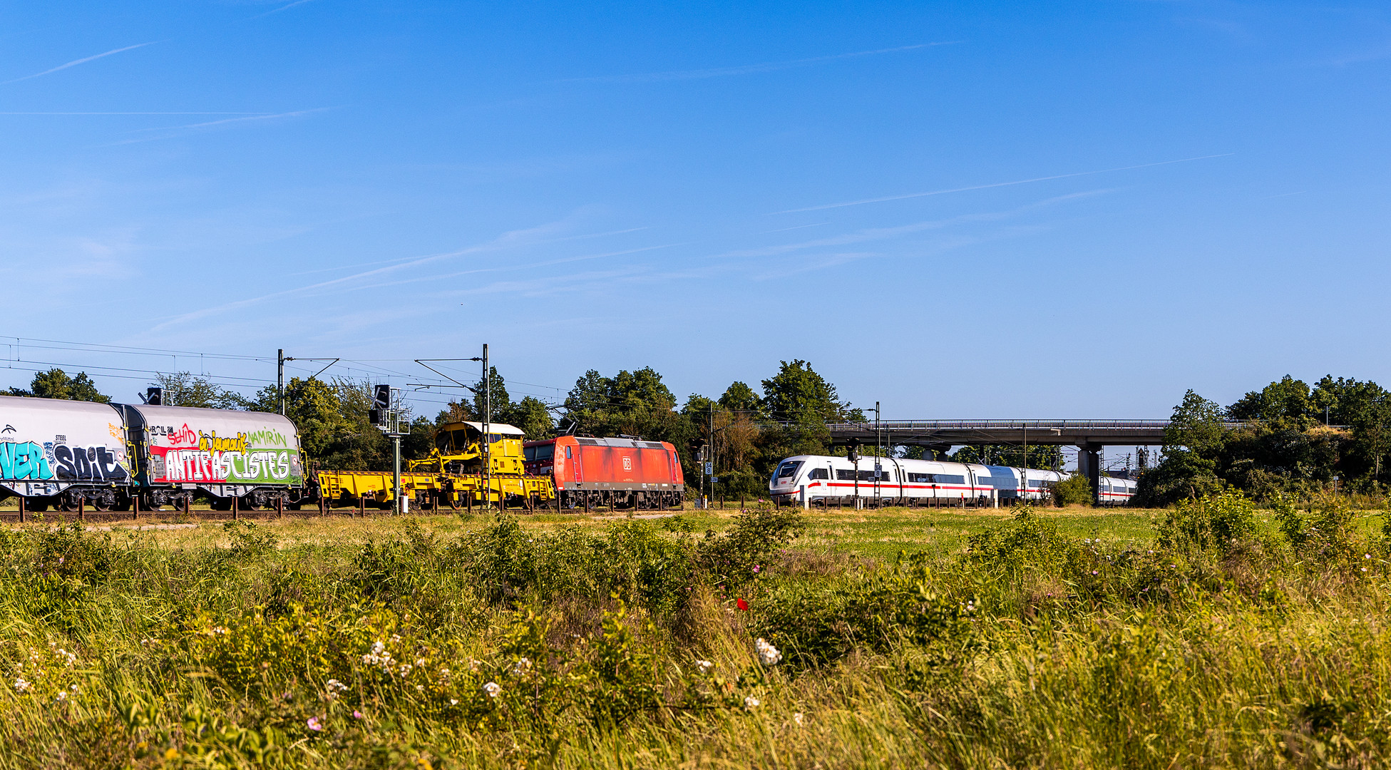 Riedbahnbegegnungen - II -