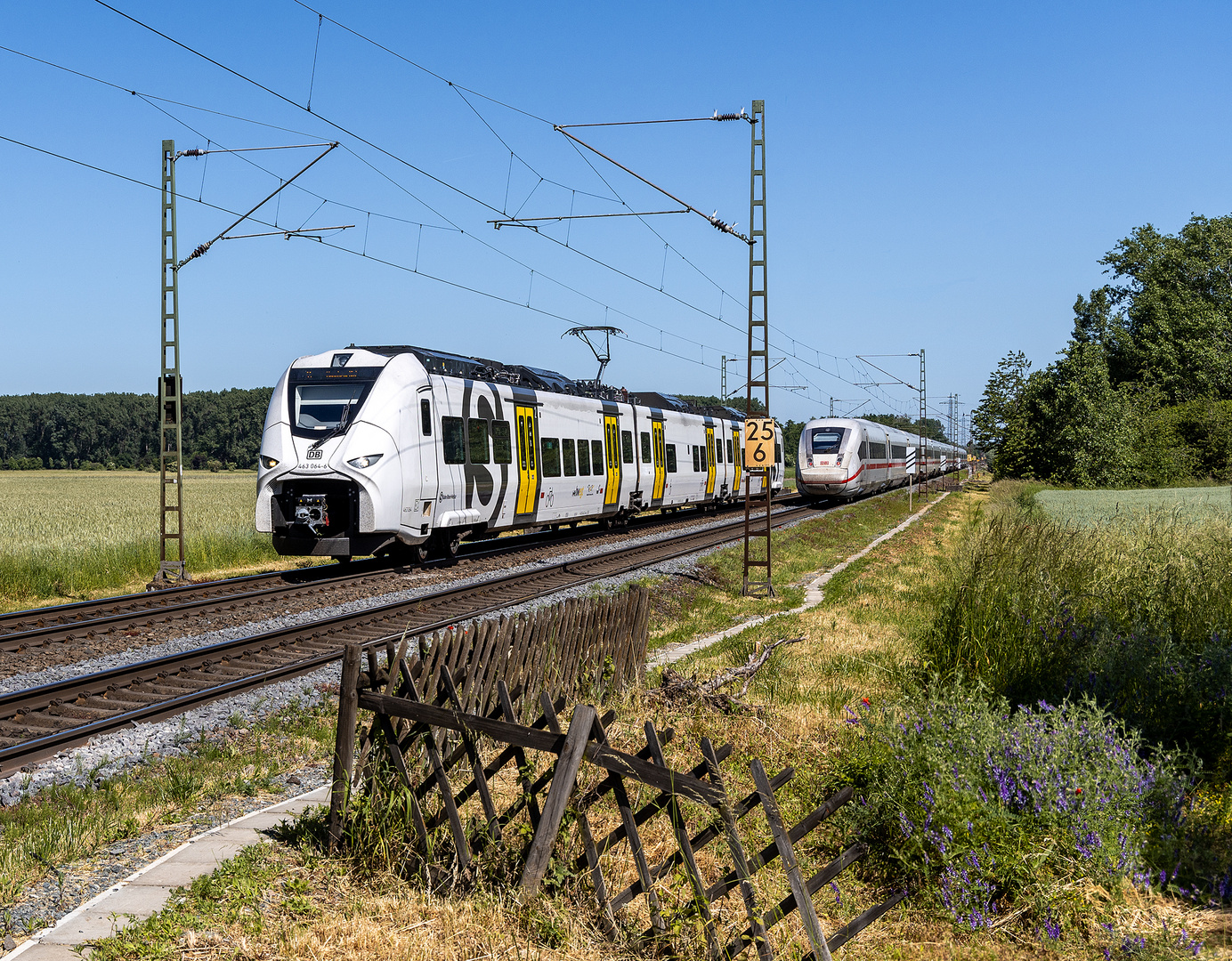 Riedbahnbegegnungen - III -