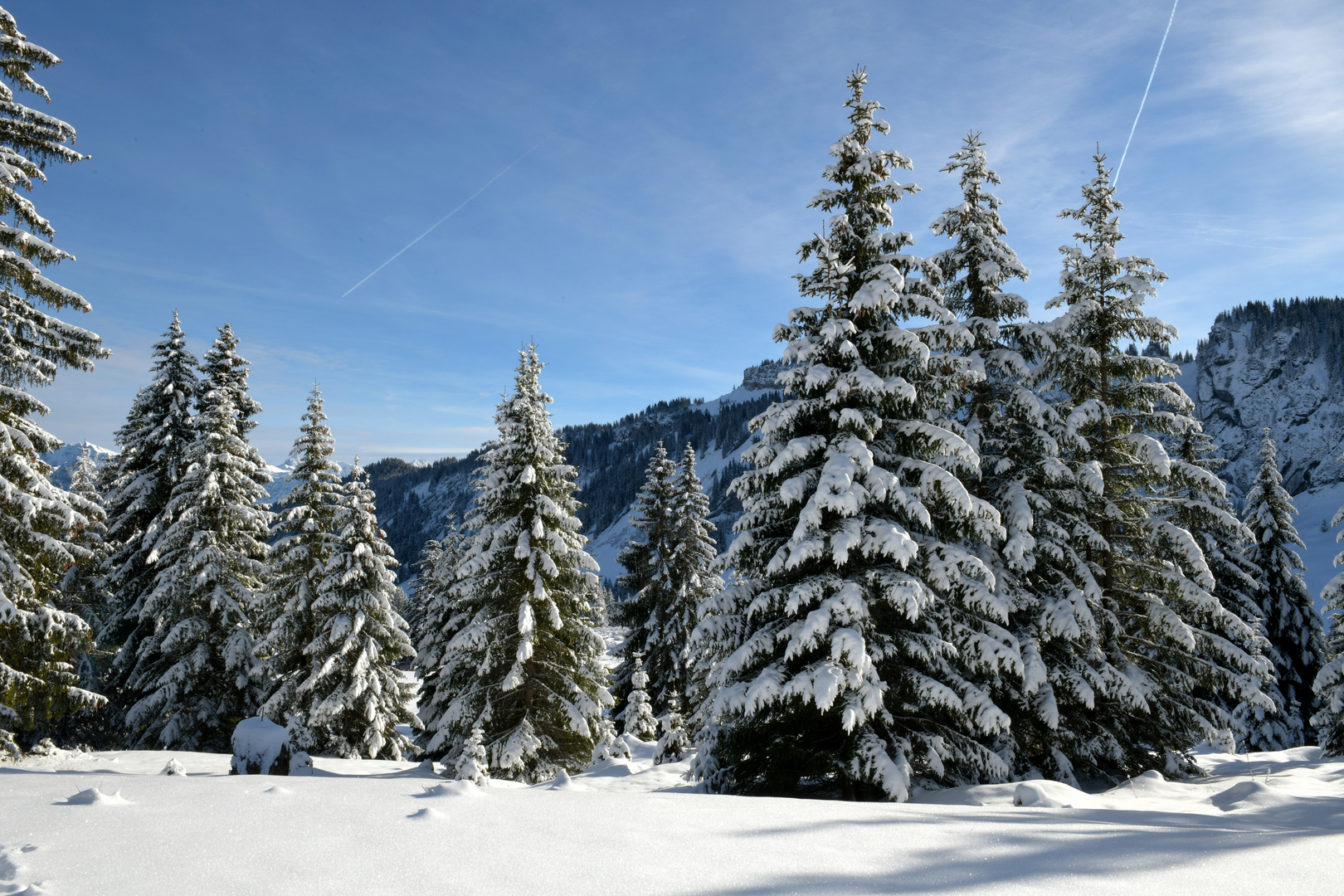 Riedbergpass 1