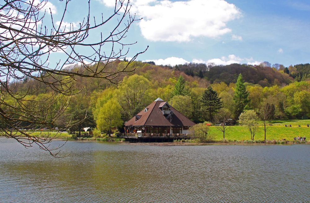 Rieden-Waldsee Foto & Bild | deutschland, freizeit, eifel natur see