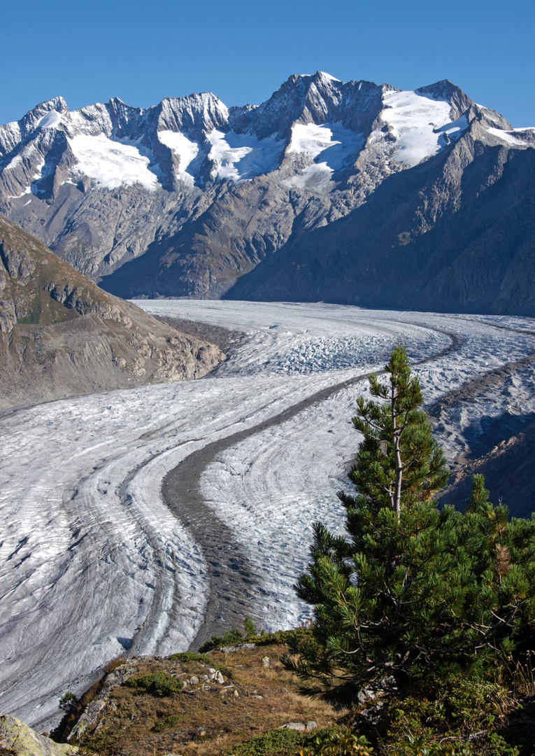 Riederalp Aletschgletscher 16 09.07. 4